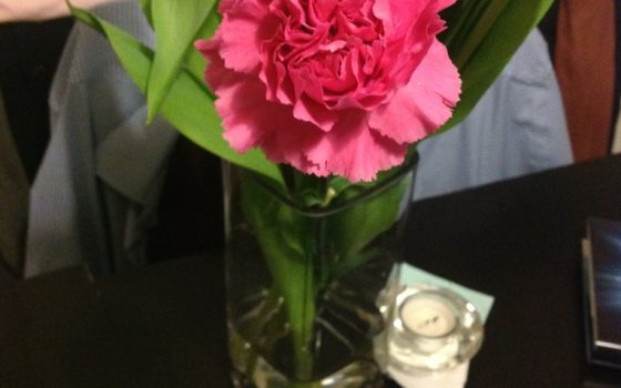 20130425-080141.jpg