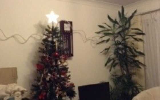 20131204-063854.jpg