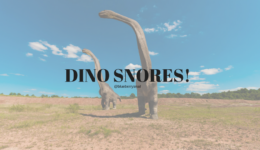 DINO SNORES